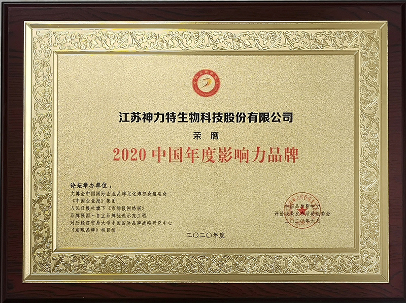 6、2020中國年度影響力品牌.jpg
